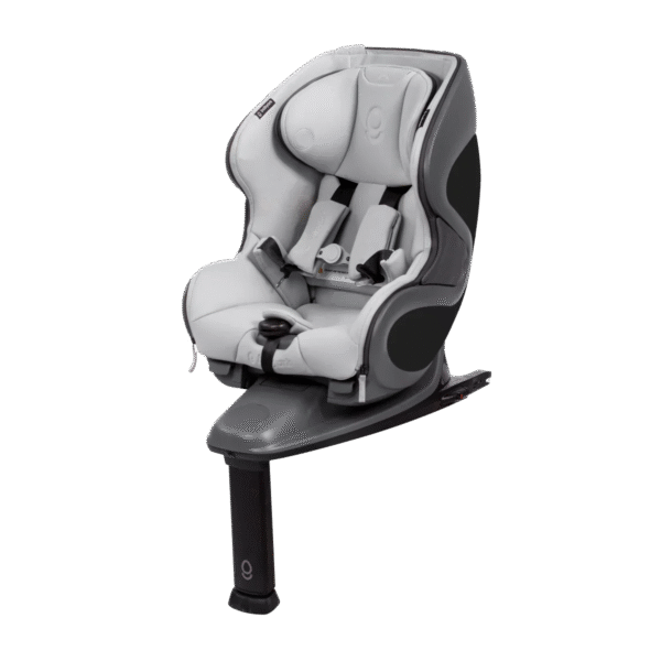 babyark Convertible Car Seat – Classic